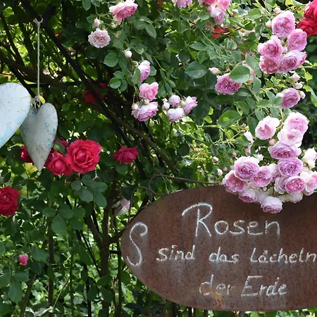 Im Rosengarten 公寓