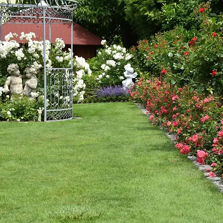 Im Rosengarten Ebenweiler