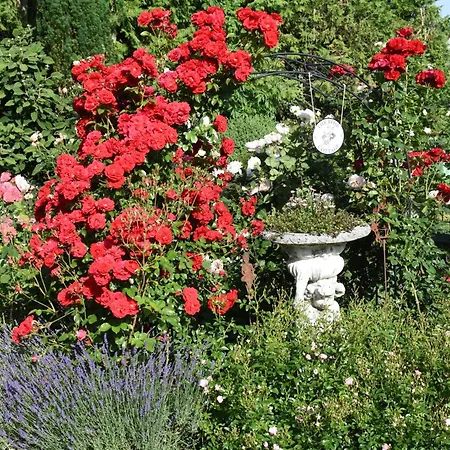 公寓 Im Rosengarten Ebenweiler