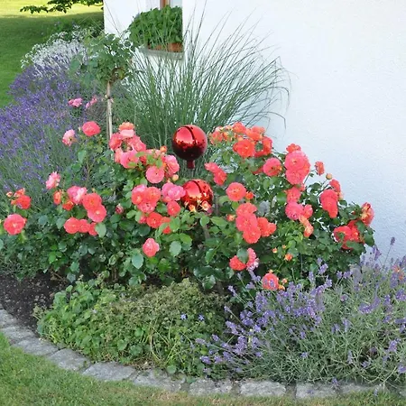 Im Rosengarten 公寓 Ebenweiler