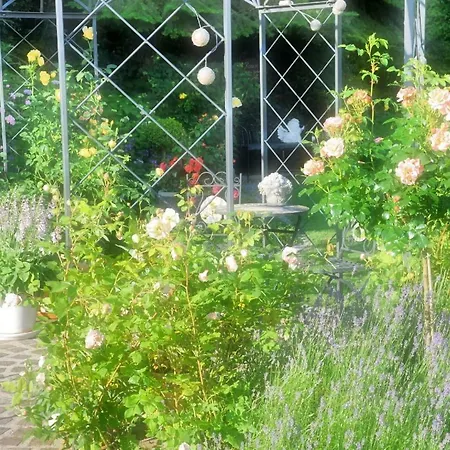 Apartmán Im Rosengarten