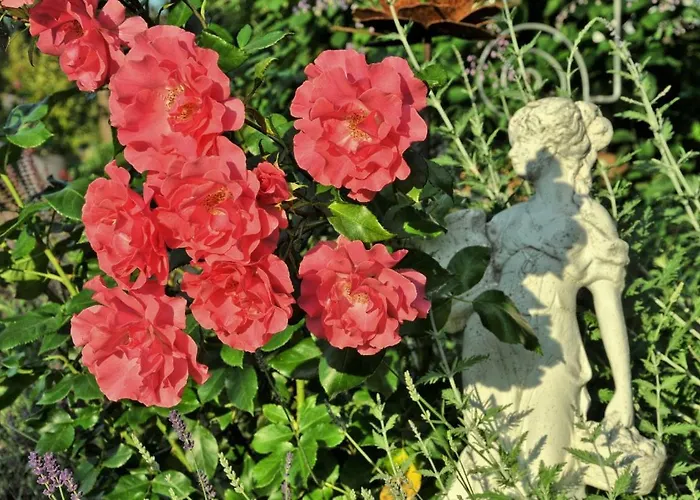 Im Rosengarten Ebenweiler